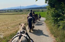 reitferien-bern