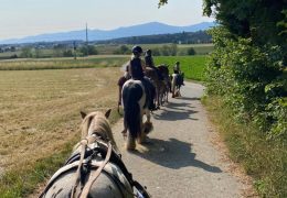 reitferien-bern