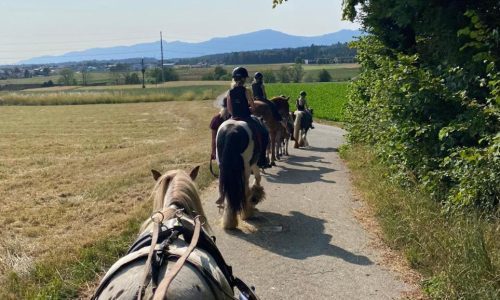 reitferien-bern