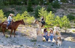 reiten-aargau