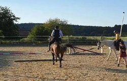reiten-aargau