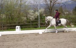 reiten-aargau