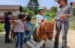 reiten-aargau