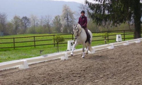 reiten-aargau