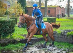 reiten-aargau