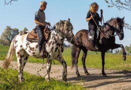 reiten-aargau