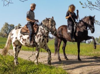 reiten-aargau