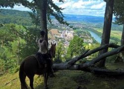 reiten-aargau