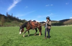 reiten-aargau