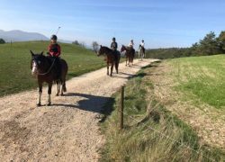 Liberty Ranch (Aargau)