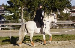 reiten-aargau
