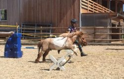 reiten-aargau