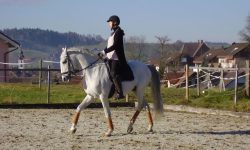 reiten-aargau