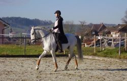 reiten-aargau