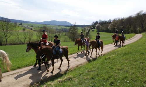 reiten-aargau