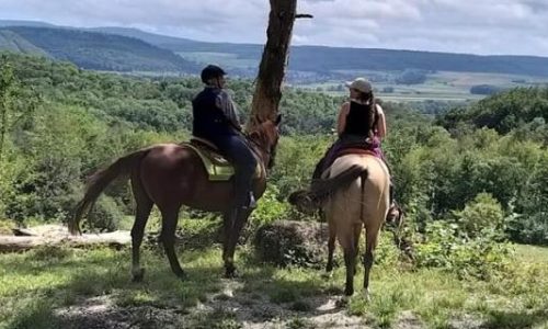reiten-aargau