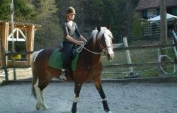 reiten-appenzell