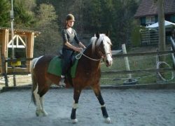 reiten-appenzell