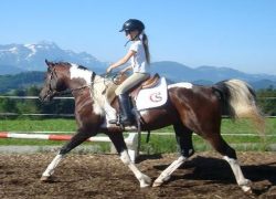 reiten-appenzell