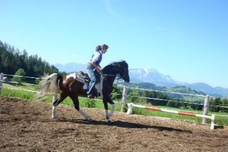 reiten-appenzell