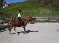 reiten-appenzell