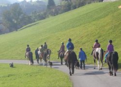 reiten-appenzell