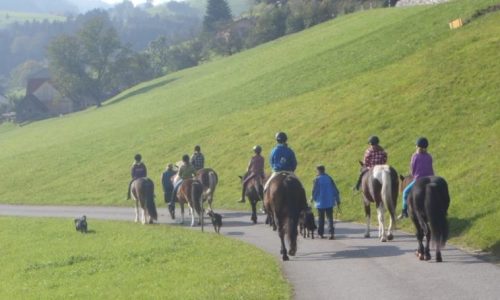 reiten-appenzell