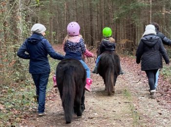 reiten-basel