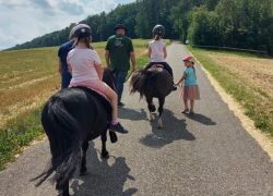 reiten-basel