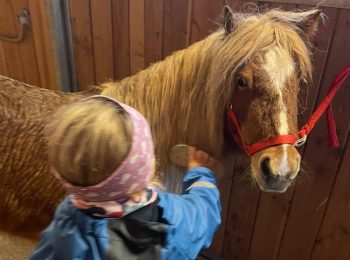 reiten-basel