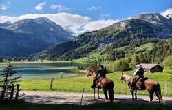 reiten-bern