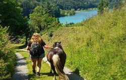 reiten-bern