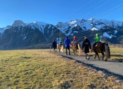 reiten-bern