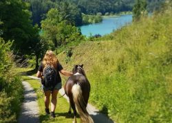 reiten-bern