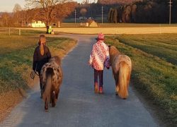 reiten-bern