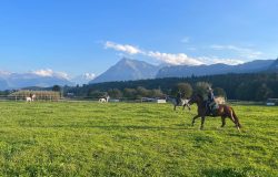 reiten-bern