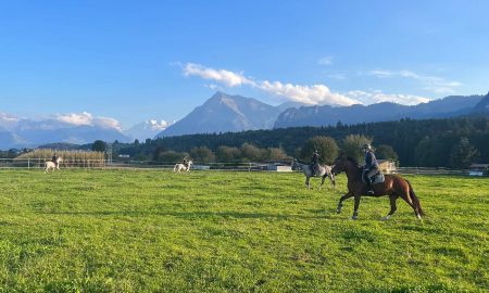 reiten-bern