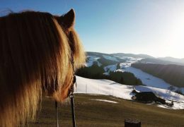 reiten-bern