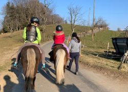reiten-bern