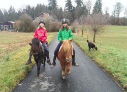 reiten-bern