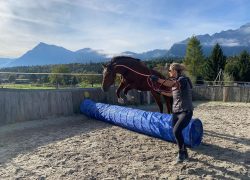 reiten-bern