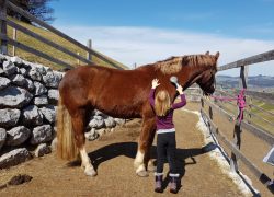 reiten-bern