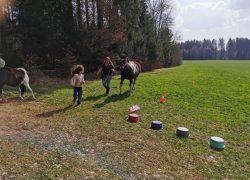 kinderreiten-bern