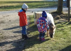 kinderreiten-bern