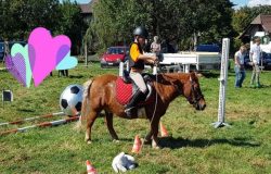 reiten-bern