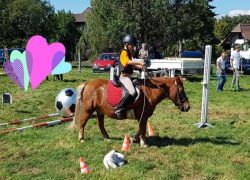 reiten-bern