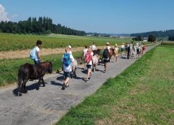 reiten-bern