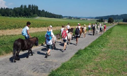 reiten-bern