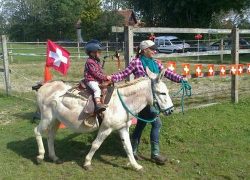 ponyreiten-bern-jura