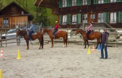 reiten-bern